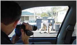 Private Detective and Investigators in Poole